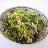 お弁当のおかずにぴったり！ほうれん草のもやし和え